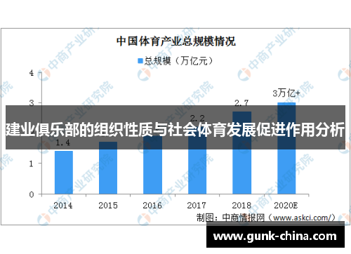 建业俱乐部的组织性质与社会体育发展促进作用分析