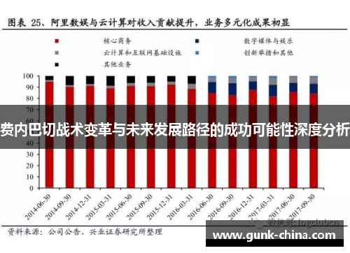 费内巴切战术变革与未来发展路径的成功可能性深度分析